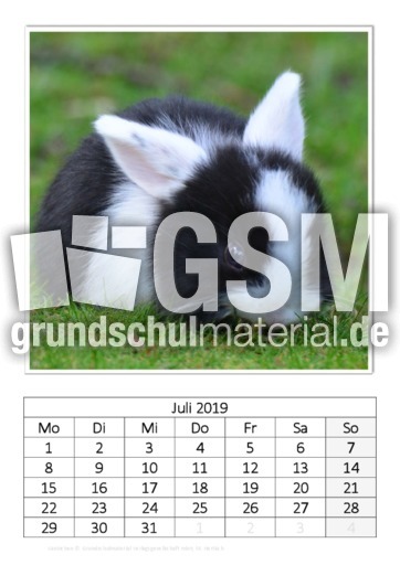 Juli_Kaninchen_1.pdf